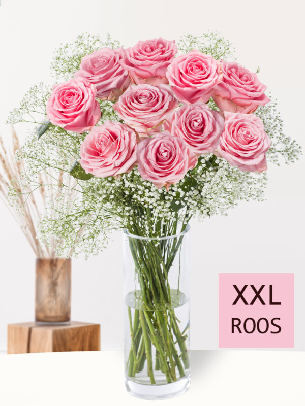 10 roze rozen met gipskruid (XXL rozen)