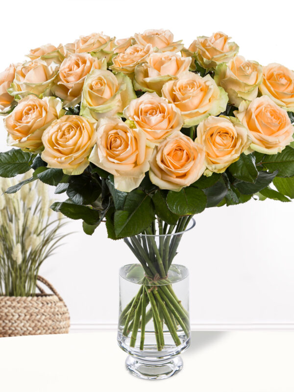 20 zalmkleurige rozen - XL rozen - Avalanche Peach