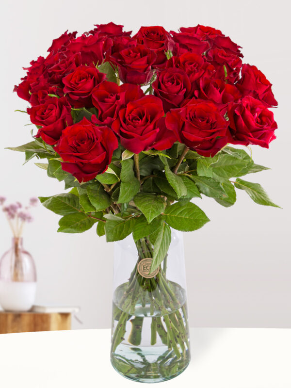 25 rode rozen XL - EverRed